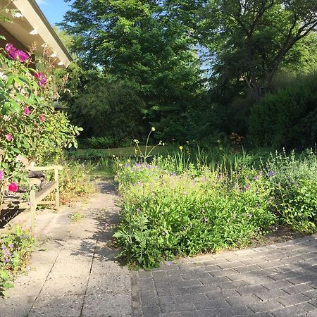 Huisje De Geluksvogel Zorgvlied Exteriér fotografie