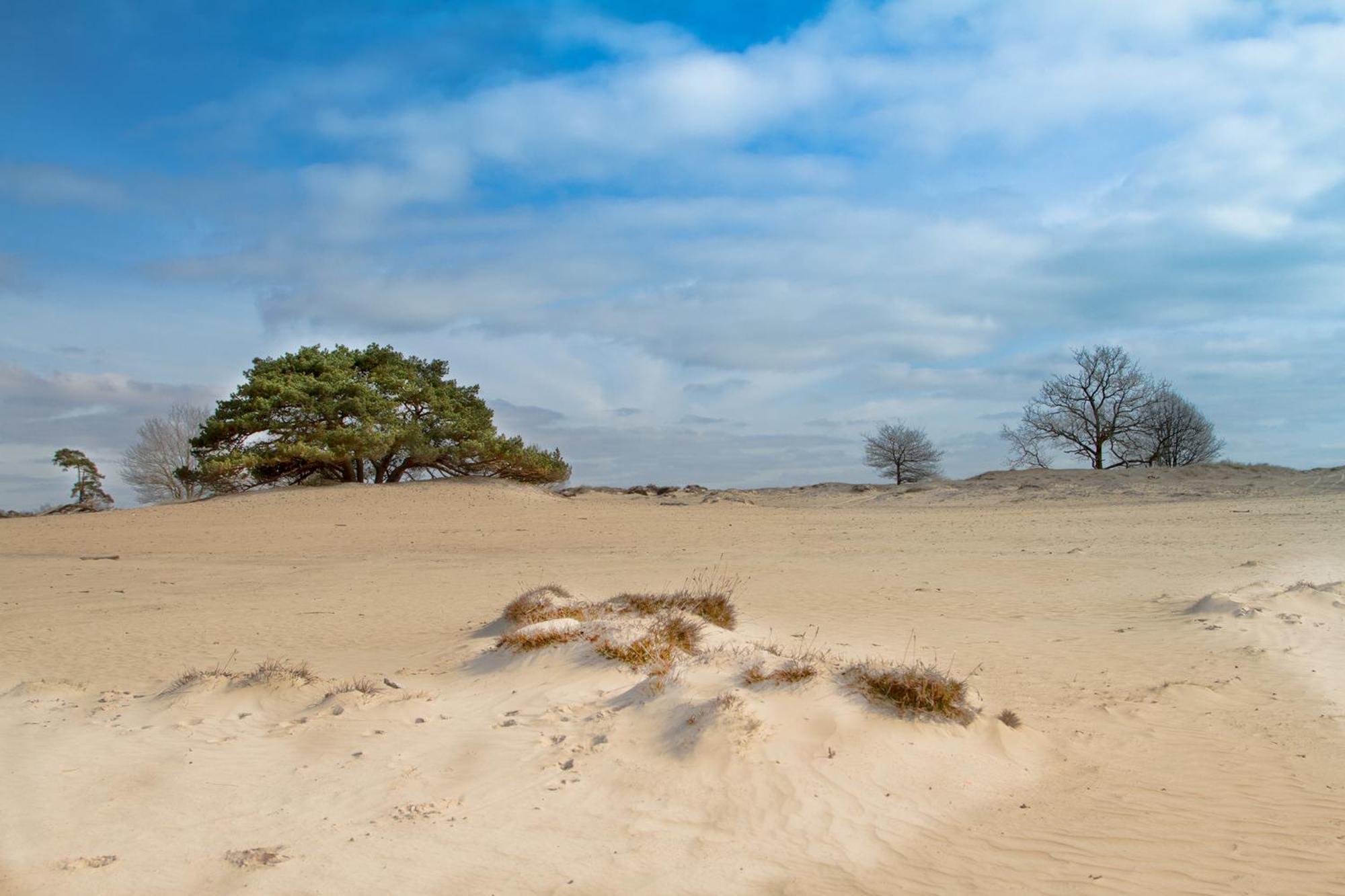 Huisje De Geluksvogel Zorgvlied Exteriér fotografie