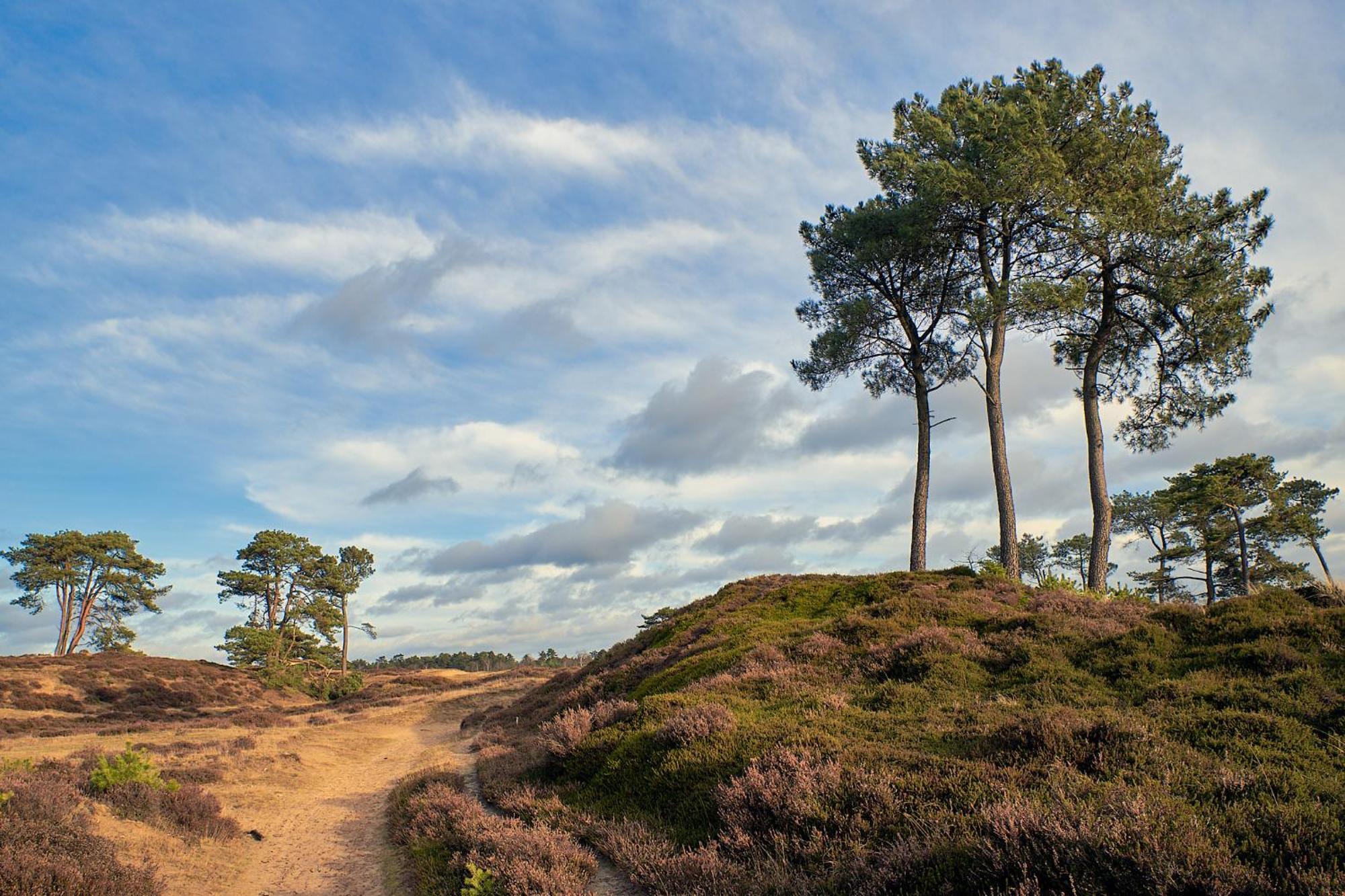 Huisje De Geluksvogel Zorgvlied Exteriér fotografie