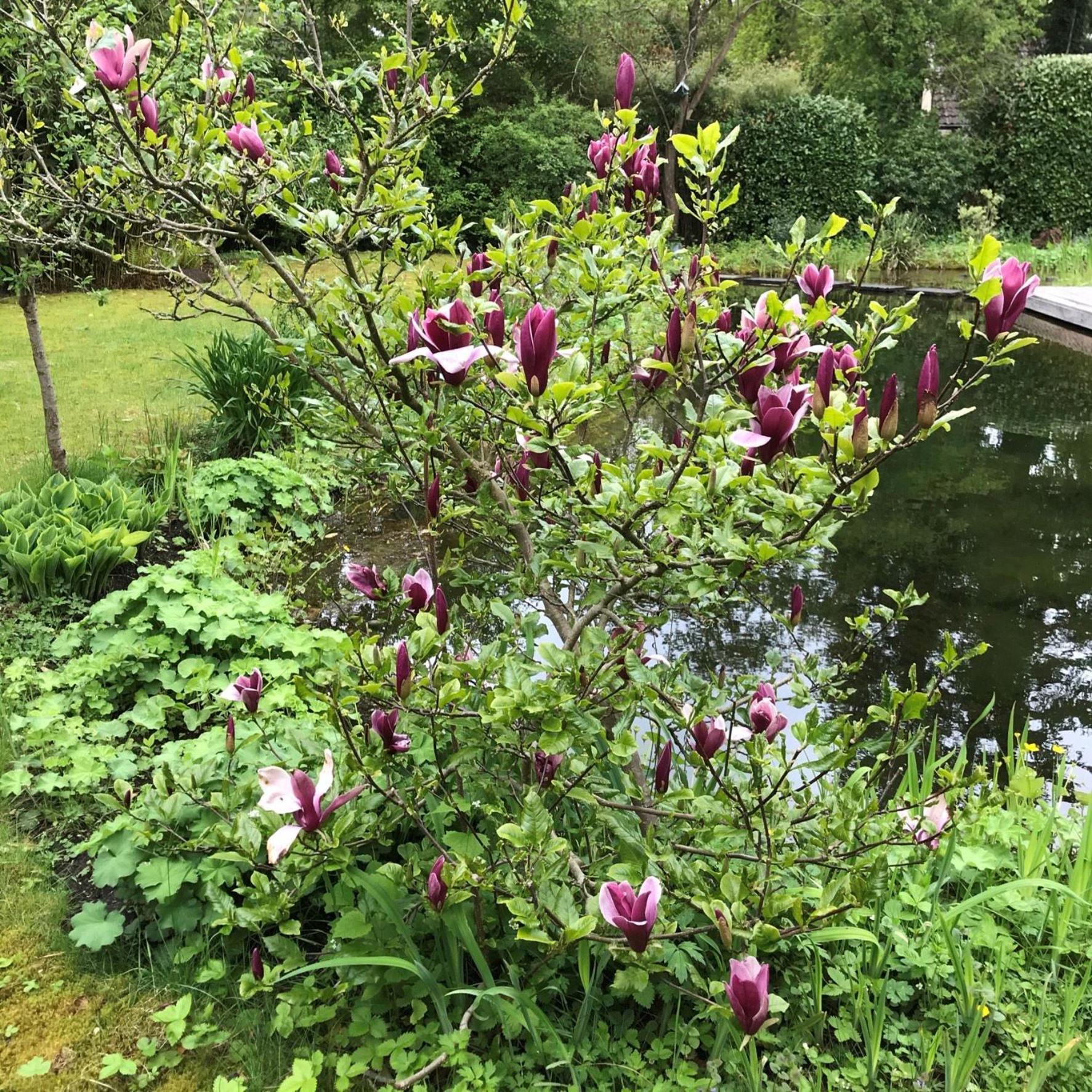 Huisje De Geluksvogel Zorgvlied Exteriér fotografie